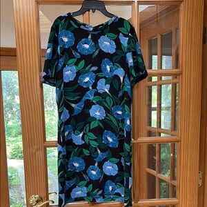 Ann Taylor Floral Short Sleeve Shift Dress 8